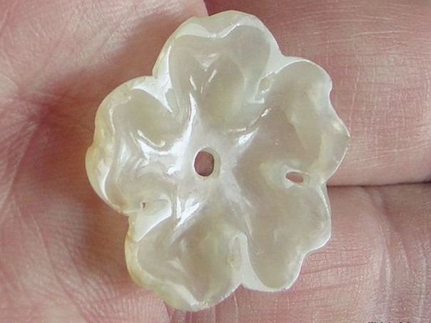 Flower 620 - (2115)